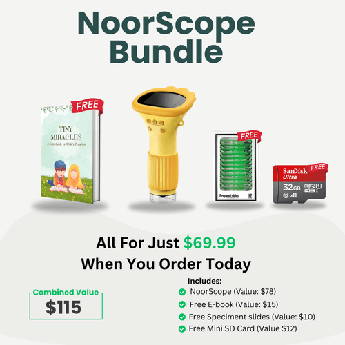 Noorscope Bundle