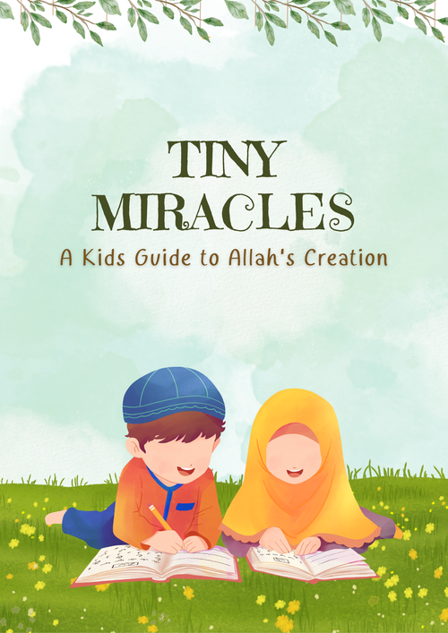 A Kids Guide to Allah's Creation